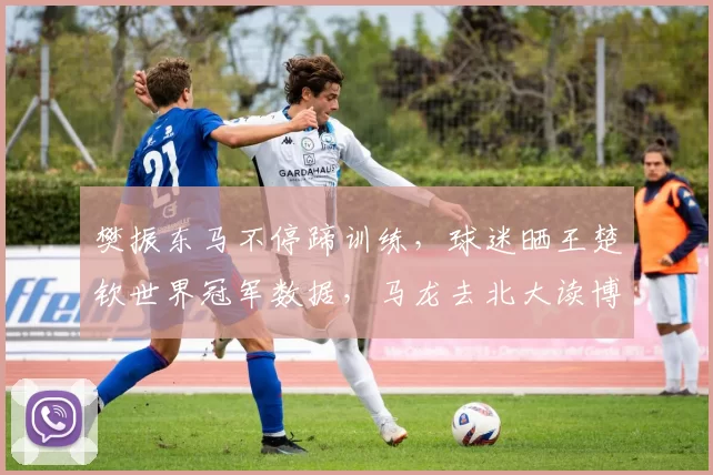 樊振东马不停蹄训练，球迷晒王楚钦世界冠军数据，马龙去北大读博