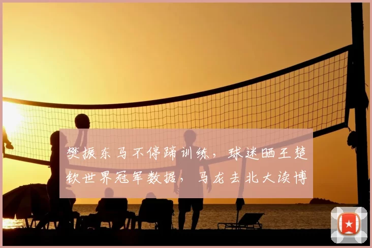 樊振东马不停蹄训练，球迷晒王楚钦世界冠军数据，马龙去北大读博_1