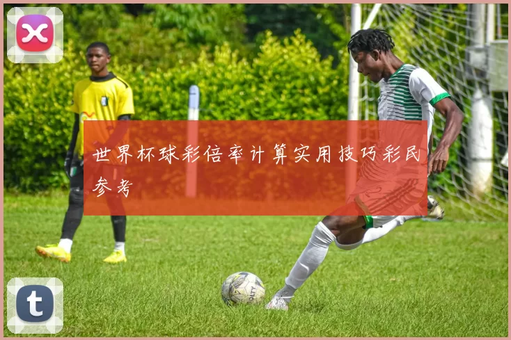世界杯球彩倍率计算实用技巧彩民参考