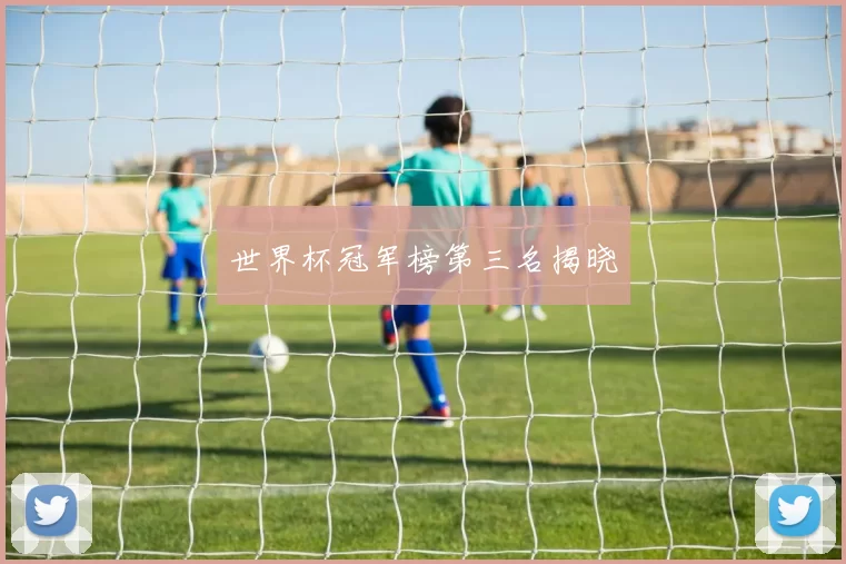 世界杯冠军榜第三名揭晓