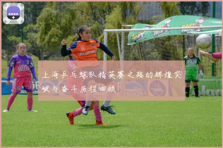 上海乒乓球队精英赛之路的辉煌突破与奋斗历程回顾