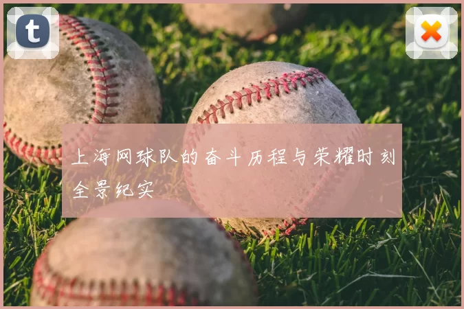 上海网球队的奋斗历程与荣耀时刻全景纪实