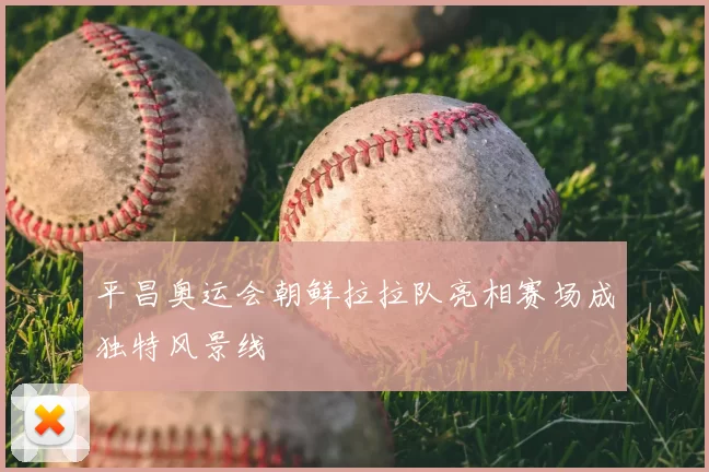 平昌奥运会朝鲜拉拉队亮相赛场成独特风景线