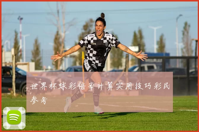 世界杯球彩倍率计算实用技巧彩民参考