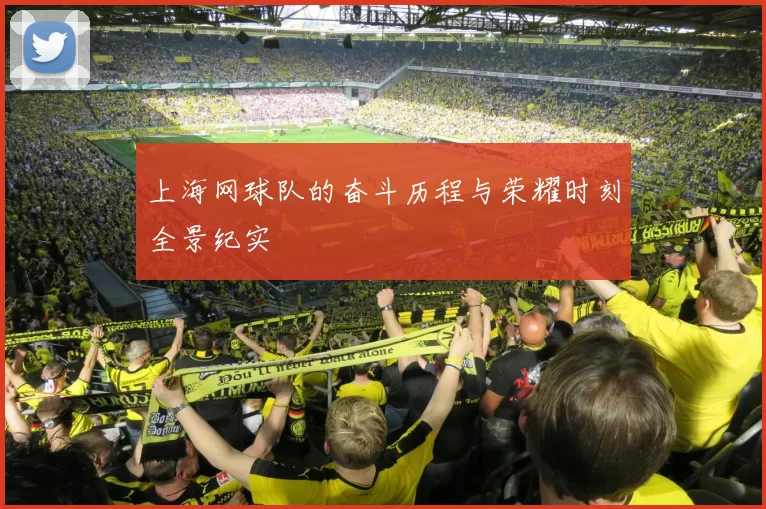 上海网球队的奋斗历程与荣耀时刻全景纪实
