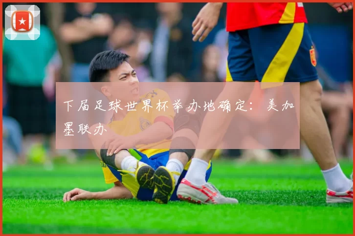下届足球世界杯举办地确定：美加墨联办