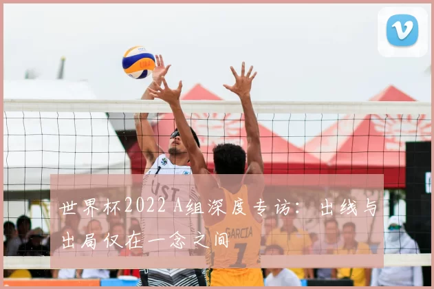 世界杯2022 A组深度专访：出线与出局仅在一念之间