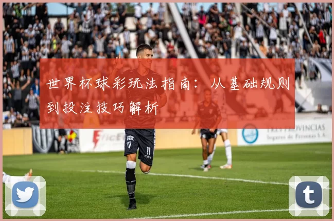 世界杯球彩玩法指南：从基础规则到投注技巧解析