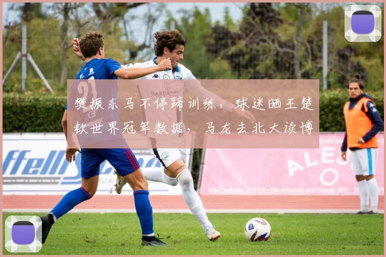 樊振东马不停蹄训练，球迷晒王楚钦世界冠军数据，马龙去北大读博_1