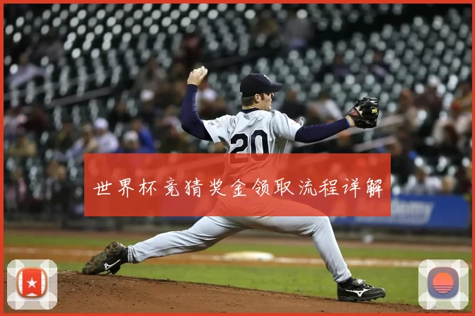 世界杯竞猜奖金领取流程详解